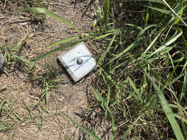 20251012高雄半屏山步道2915128