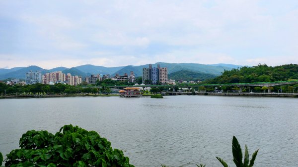 白石湖沒有百合花。晶片關稅2781549