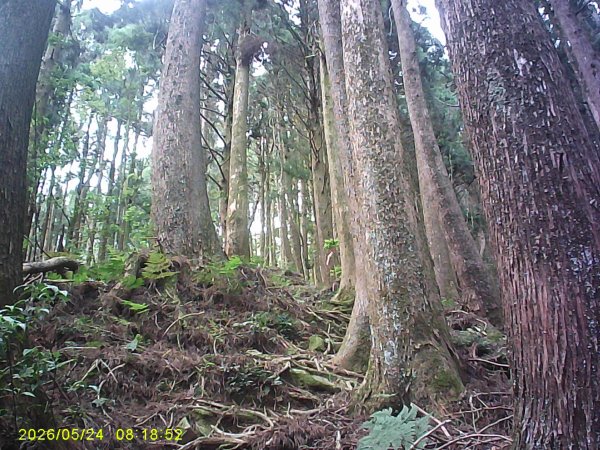兒玉(自忠)山、東水山、東水山西峰及特富野古道O繞。3061774