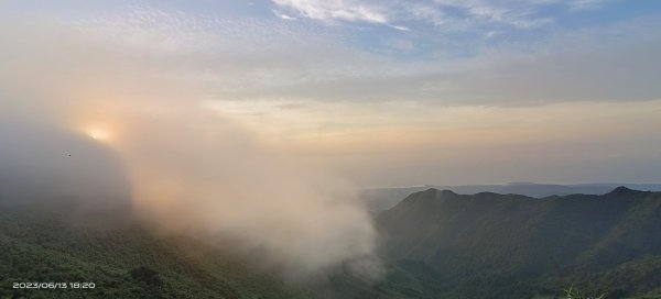 久違的陽明山雲海&觀音圈+蝴蝶全員集合6/13  #青斑鳳蝶 #青帶鳳蝶 #台灣粉蝶2180235