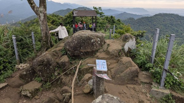 115.05.01天上山-桐花公園之旅3052136