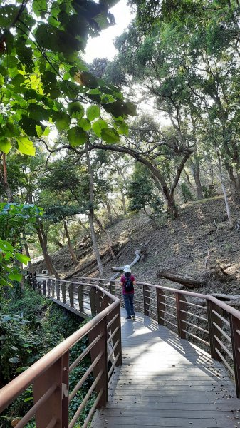 《苗栗》山海微旅｜貓貍山功維敘隧道及後龍好望角夕照202111071507735