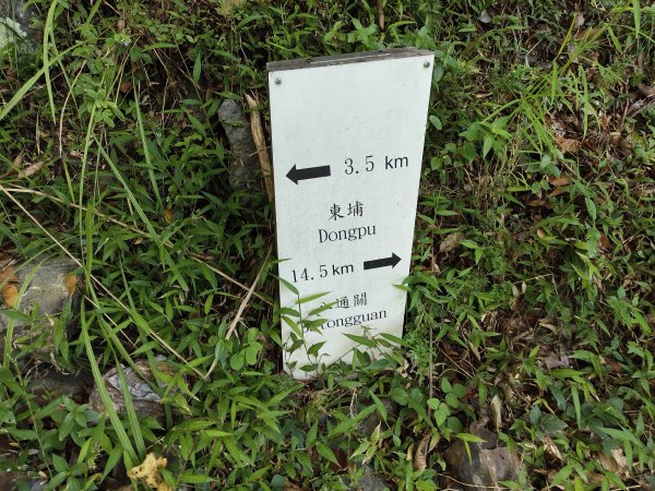 [玉山尋寶任務-07/12] 2025_0824 八通關雲龍瀑布步道2870606