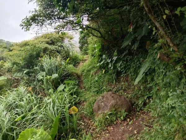 瑞芳區找尋半屏大瀑布未果2880943