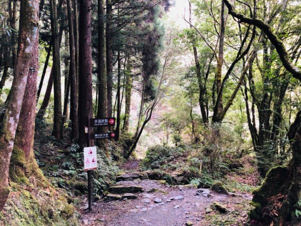 1090122檜山巨木群步道815620