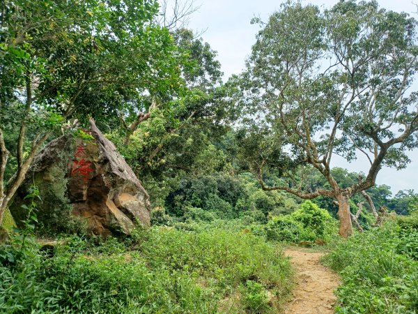 【台中北屯】南觀音山步道2933195