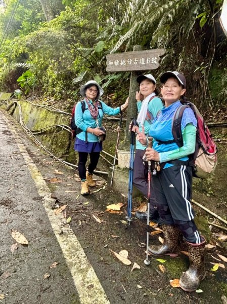 挑竹古道6號走小半天6連峰出孟宗竹林古戰場3108794
