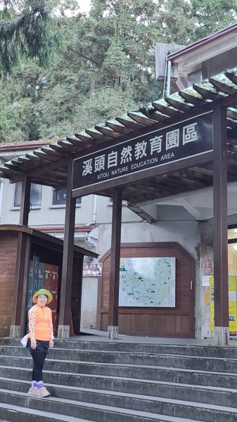 溪頭自然教育園區2938867