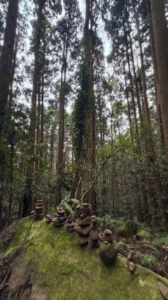 加里山 2025 12/282971688