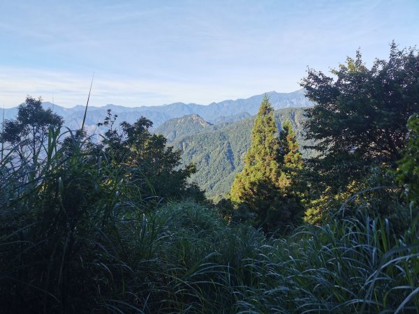 台灣山毛櫸步道-夏日碧綠盎然佐壯觀山巒1039602