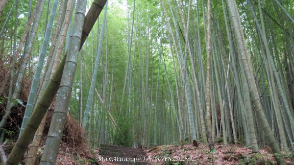 《雲林》望好望角｜石壁山嘉南雲峰步道(中側登山口）202506072805461