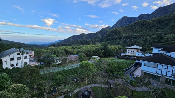 241122-慢走溪頭六連峰（大崙頭山、貓冬望山、民眾坪山、樟空崙山、志騰山、竹崙山）。美美兔沒在怕2654732