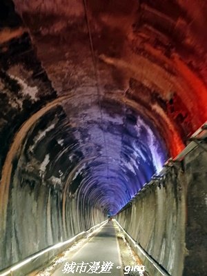 【苗栗】貓貍山公園功維敘隧道2981683