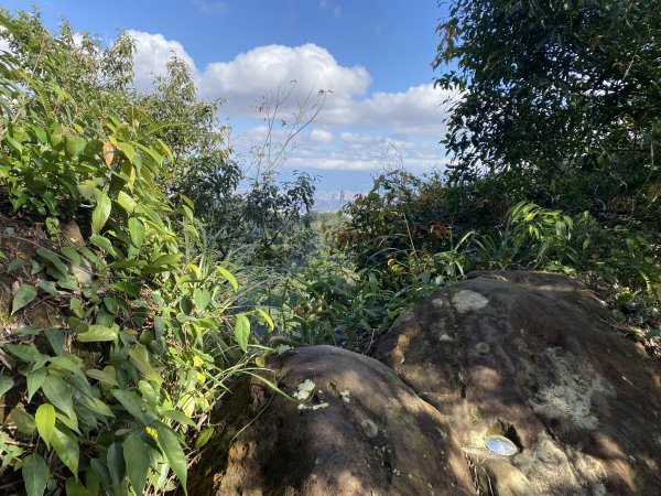 2025微笑山線大縱走尋寶集章任務-Ep.04【天上山系】望月亭桐花段｜石門內尖山東峰 ×石門內尖山2979096