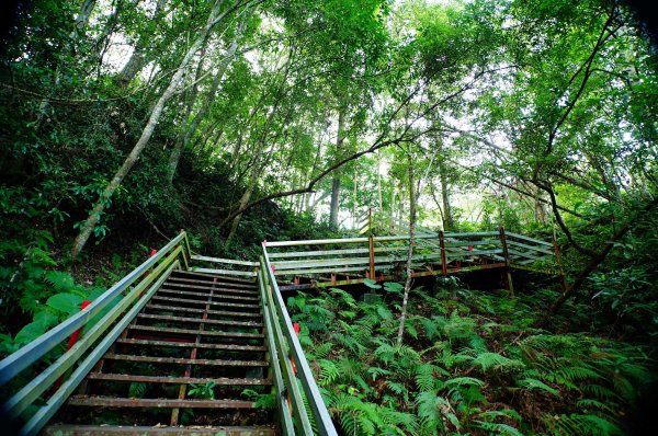 苗栗 泰安 虎山3118658