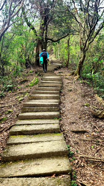2025-0104 造鎮_五城山_天上山_三粒半_火焰山_慈惠堂_土城大潤發2682124