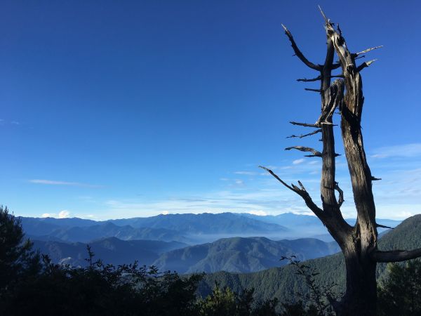 翻山越嶺-白姑大山1060722203255