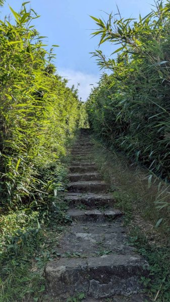 大屯山主峰步道3067636
