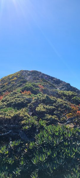 凱蘭特崑山1160830