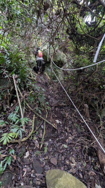 113.12.28小鷹尖-關山嶺-五八山-凌雲尖-龍女岩之旅2679365