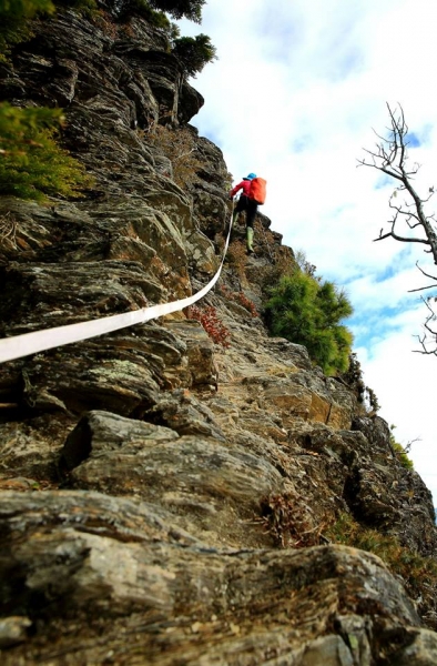 卓社大山 18連峰16215