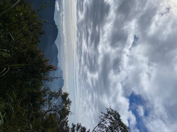 1131215大塔山步道2669206