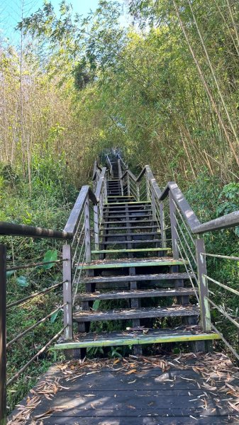 隙頂二延平步道2798973