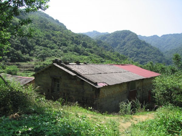深坑向天湖古道1957676