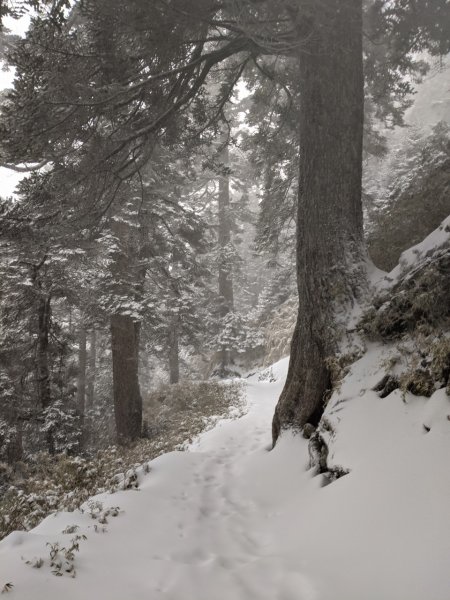 20200128-玉山雪景818519