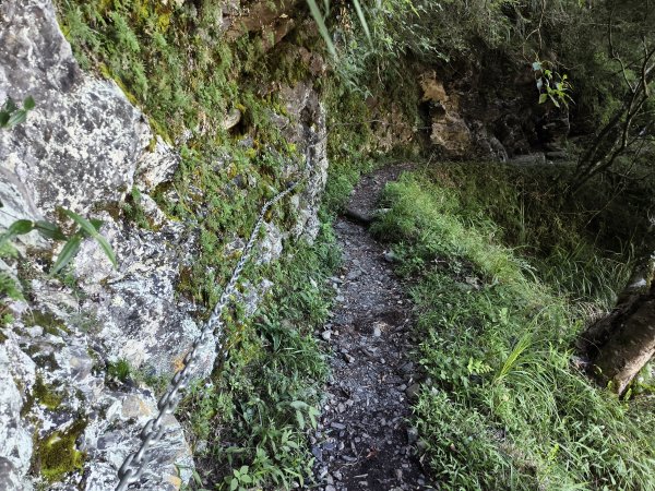 [玉山尋寶任務-07/12] 2025_0824 八通關雲龍瀑布步道2870698