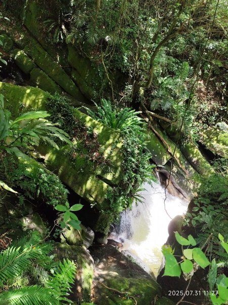 圓覺寺步道→新福本坑→碧湖步道→碧山公園→國立臺灣戲曲學院→碧湖公園→大港墘公園【臺北健走趣】2849243