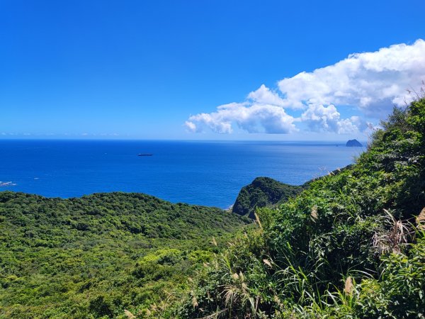 情人湖環山步道-(基隆)臺灣百大必訪步道2249552