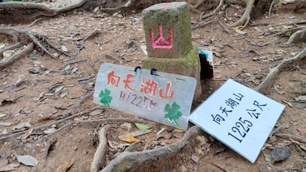 【苗栗南庄】向天湖山光天高山小O繞2933162