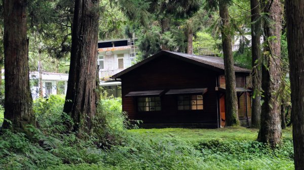 阿里山森遊區-祝山,對高岳步道2537072