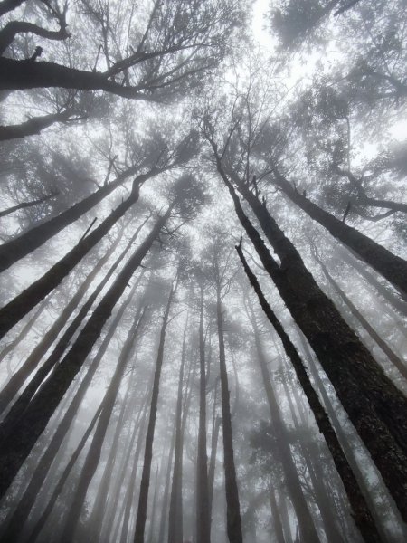 南湖群峰五天四夜2871890