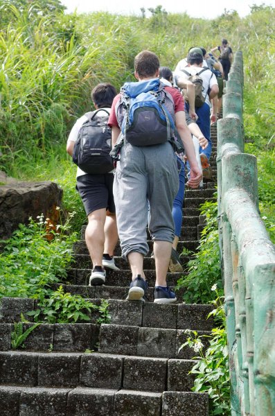 無耳茶壺山。黃金三稜539665