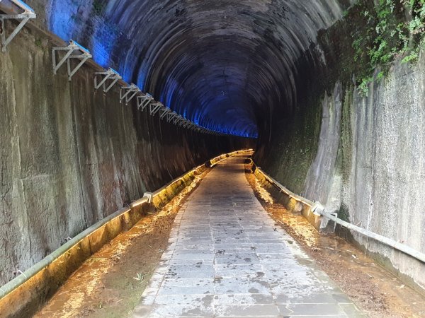 貓貍山公園，功維敘隧道1140924