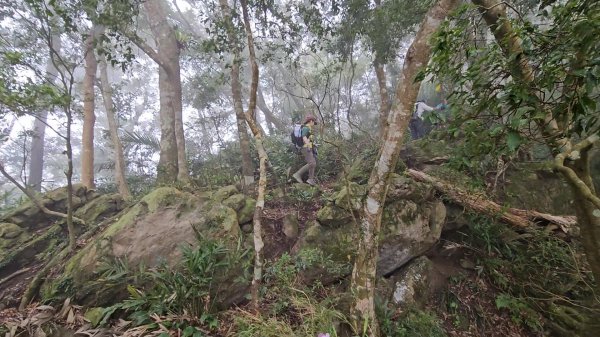 馬武督山西南峰+馬武督山O型走3012858