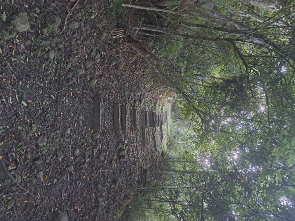 小百岳集起來月眉山步道3113053