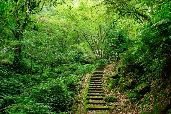 新北 平溪 孝子山、慈母峰、普陀山、中央尖、臭頭山3094900