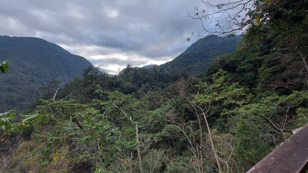 東八仙山 八仙山 O形縱走1582401