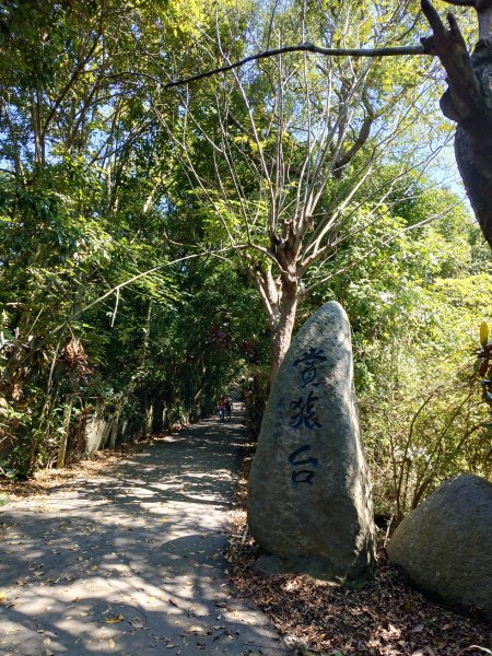 松柏嶺O形2908131