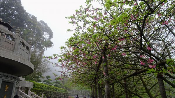 十八彎古道2026563