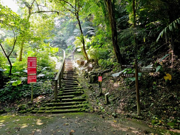 六寮古道-2025森遊竹縣皮皮獅探險隊2889084