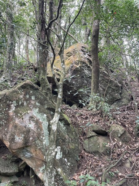 熊空紅河谷越嶺古道2916303