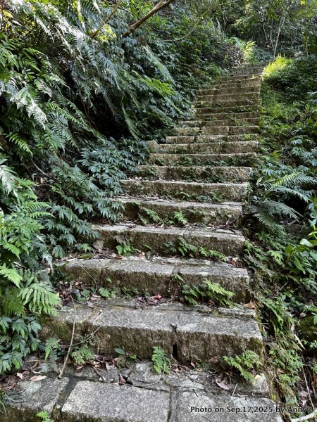 微笑山線【五分山系】菁桐煤礦段＋平溪小黃山段2906701