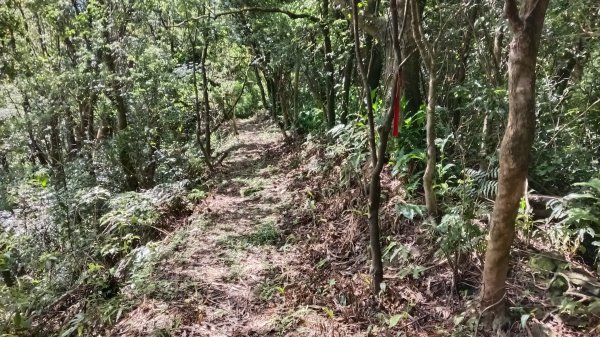 平溪區上天福安宮-粗坑頭崙-五分山西峰-五分山步道去回3088409