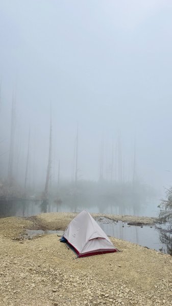 水漾森林+瞑月神木2768803