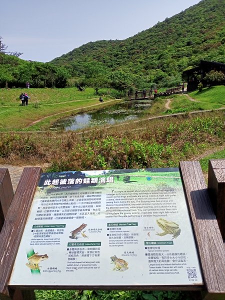 【臺北大縱走 2】【台北-臺灣百大必訪步道】湖光山色的二子坪步道、陡上陡下的大屯山西峰1338038