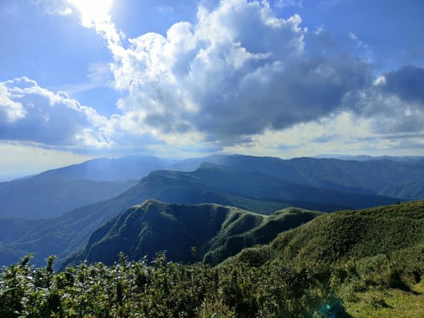 2023.11.23 桃源谷內寮線登灣坑頭山2503640